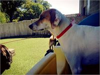 daycare pic 11 - Annie S